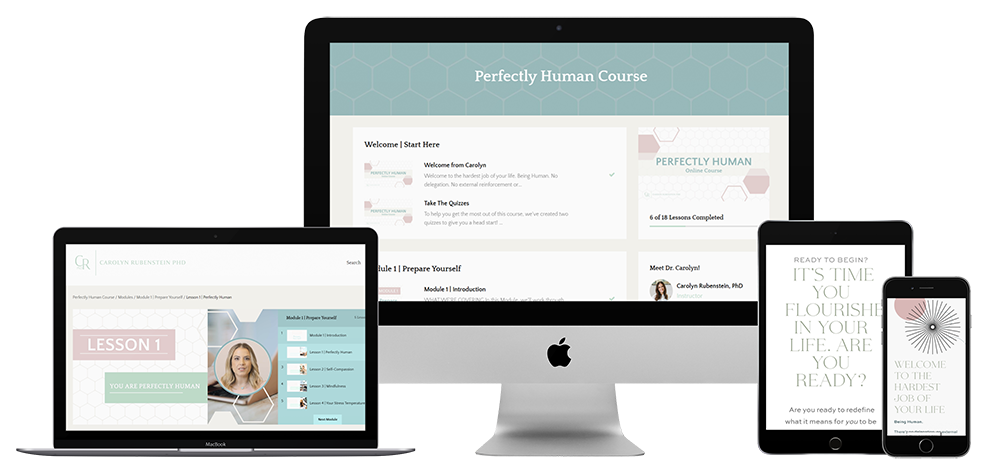 Perfectly Human course on computers